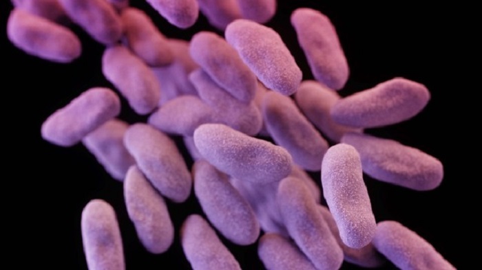 Dreaded superbug found for the first time in a U.S. woman