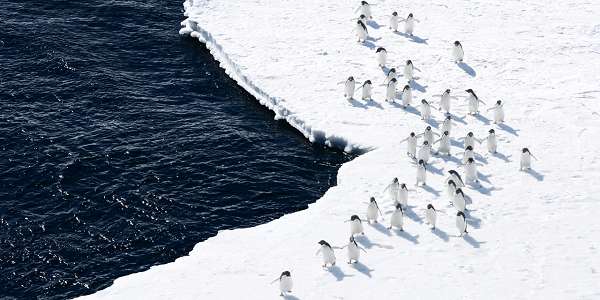 Climat: mission inédite en Antarctique pour 55 scientifiques de 30 pays