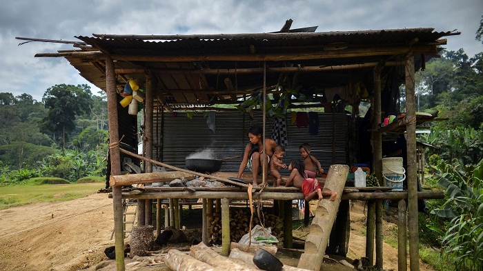 Colombie: dans le nord-est du pays, la communauté indigène meurt de faim