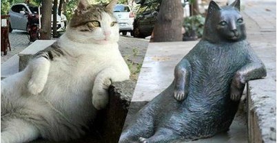 Une statue à Istanbul pour Tombili, le chat star de l`Internet