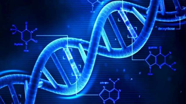 It's possible for person to have two different sets of DNA - Here's how it happens
