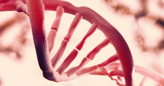 Physicists confirm there`s a second layer of information hidden in our DNA