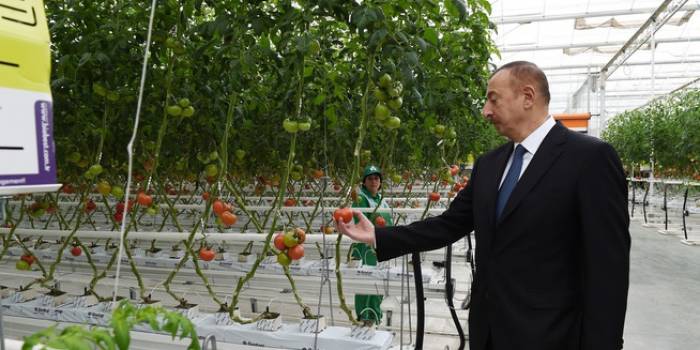 Ilham Aliyev hat sich mit dem BAKU AGROPARK in der Zira-Siedlung der Khazar-Region bekannt gemacht