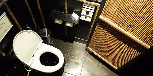 Dans le monde, plus de deux milliards de personnes n’ont pas accès aux toilettes