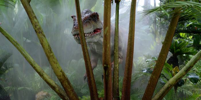 Découverte en Afrique d'empreintes d'un nouveau dinosaure géant
