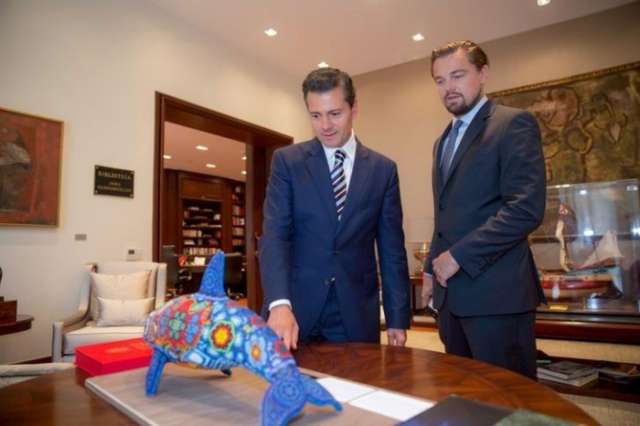 DiCaprio hails Mexican ban on type of fishing net killing porpoises