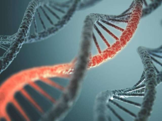 Diabetes could be treated with modified genetic engineering technique