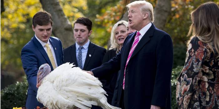 Donald Trump gracie sa première dinde de Thanksgiving