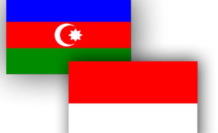 Indonesia interested in boosting energy co-op with Azerbaijan