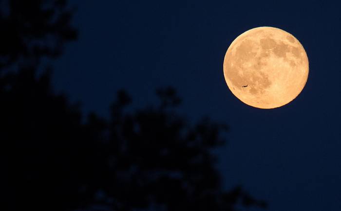Le Japon veut envoyer un astronaute sur la Lune