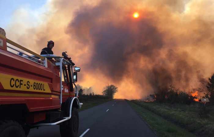 Incendies en Gironde: 1000 hectares détruits