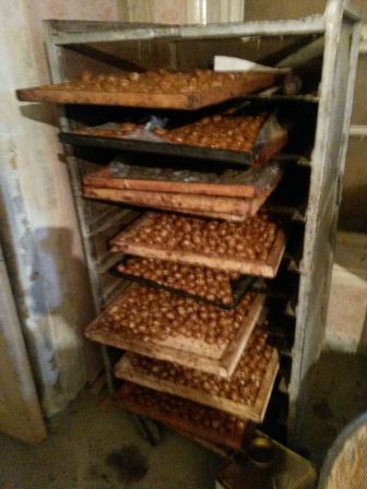 Lənkəranda qanunsuz sexlərə qarşı əməliyyat