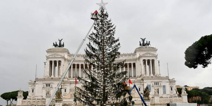 Italie : "Spelacchio", l'arbre de noël déplumé de Rome, aura une seconde vie