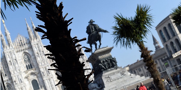 Italie : des palmiers incendiés sur fond de polémique raciste à Milan