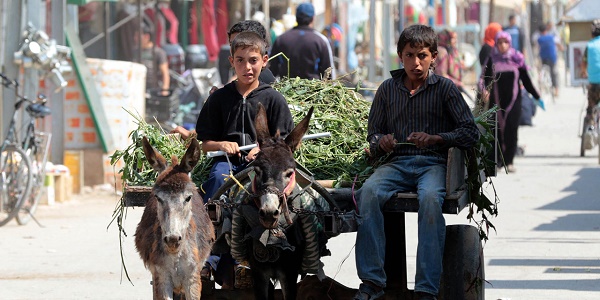 Jordanie : près de 76.000 enfants travaillent, dont 14,6% de Syriens