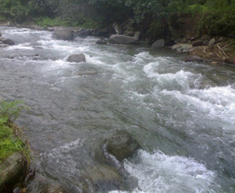 Azerbaijan, Georgia to improve ecology of Kura River