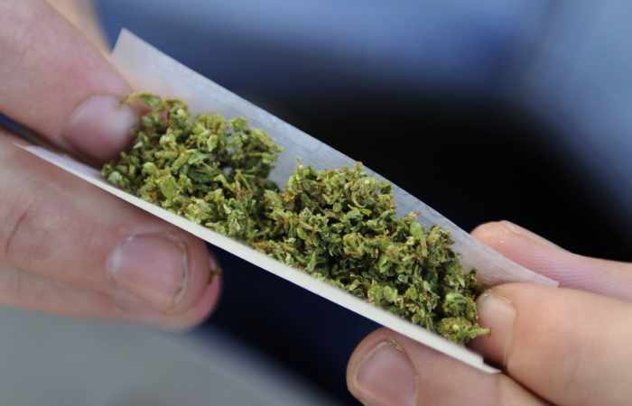 L'Argentine légalise l'usage thérapeutique du cannabis