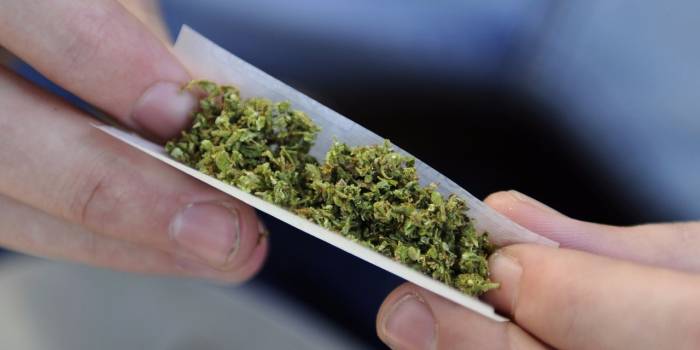 L'Etat de Washington autorise la marijuana bio