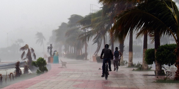 L`ouragan Newton, rétrogradé en tempête tropicale, fait 2 morts au Mexique