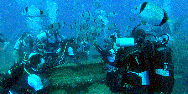 La plongée sous-marine, nouvelle méthode antistress