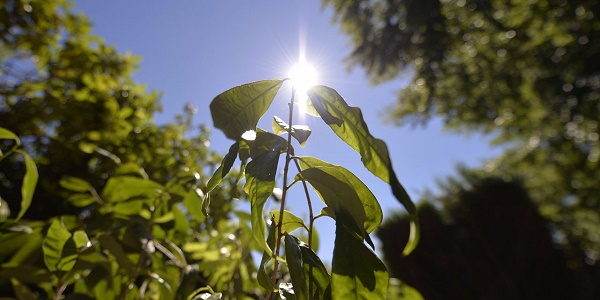 La sécheresse gagne du terrain en France
