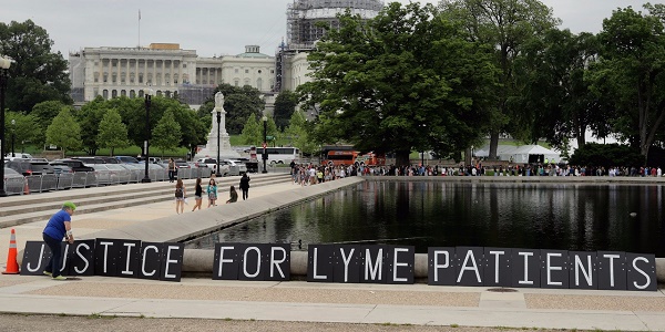 Maladie de Lyme : un plan d`action national sera annoncé en septembre