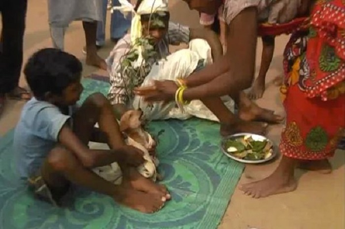 Inde: un enfant marié de force à un chien