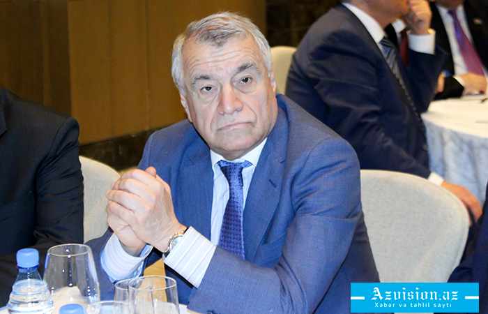 Azerbaijani energy minister concerns about developments around TAP
