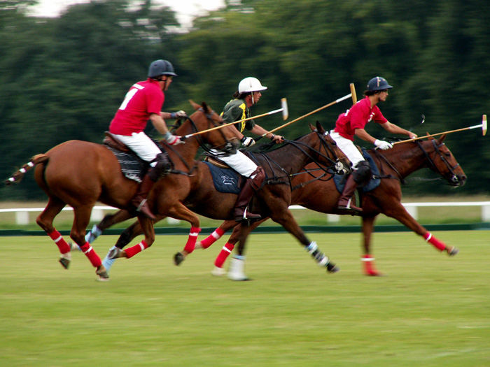 Azerbaijan becomes first European champion in polo