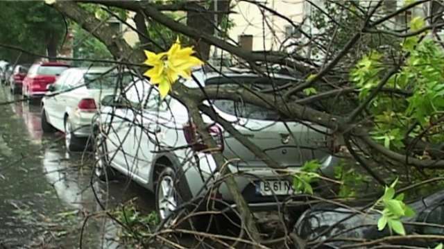Powerful storm kills eight in Romania