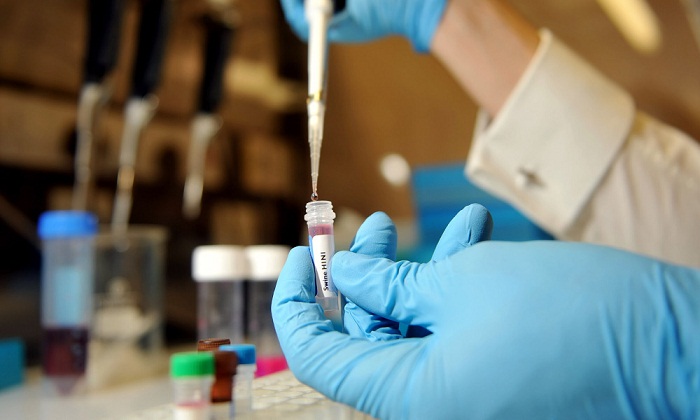 Le Royaume-Uni autorise des bébés conçus à partir de 3 ADN, une première