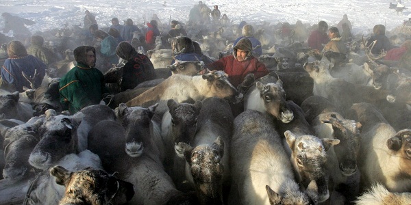 Russie : un enfant meurt d`anthrax