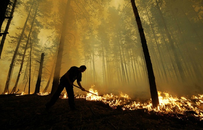 La Russie entre déni et inaction face aux feux de forêts