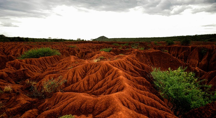 Global soil loss a rising threat to food production - scientists