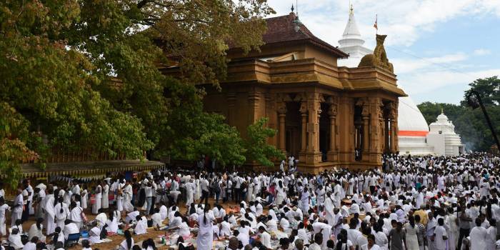 Sri Lanka : 50 blessés dans une attaque de guêpes