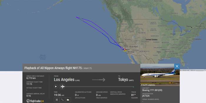 Un avion japonais d'ANA fait demi-tour à cause d'un passager embarqué par erreur