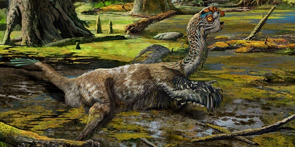 Une nouvelle espèce de dinosaure découverte