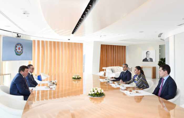 Azerbaijani First VP meets rector of Sechenov First Moscow State Medical University 