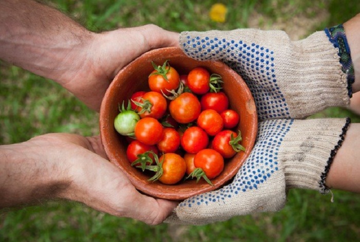 World Vegetarian Day & International Old Persons Day both fall on October 1