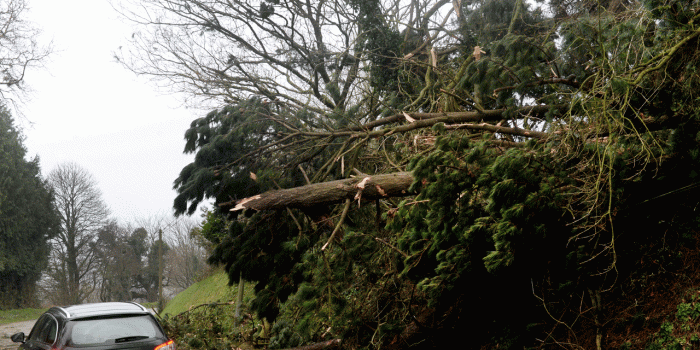 Violente tempête dans le nord de l'Allemagne : deux morts