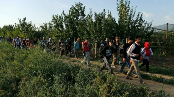 Migrant crisis: Dozens reach Croatia as Hungary border sealed