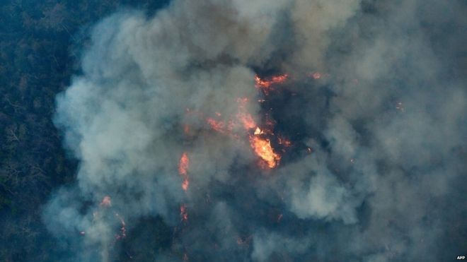 Amazon fires: Brazil indigenous reserve blazes contained