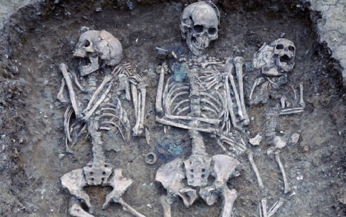 English DNA `one-third` Anglo-Saxon