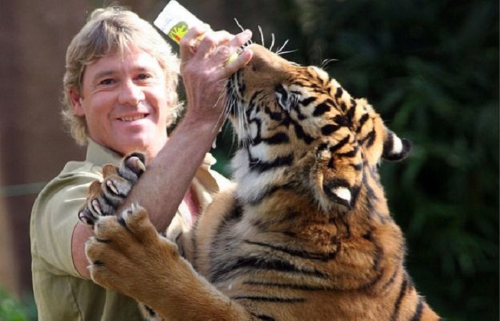 Tiger attacks keeper at `Crocodile Hunter` Steve Irwin`s zoo