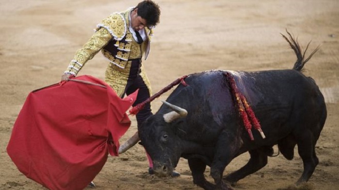Spanish bullfighter under investigation for baby in ring photo