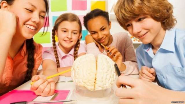 Teenage brains 'not wired for high stakes'