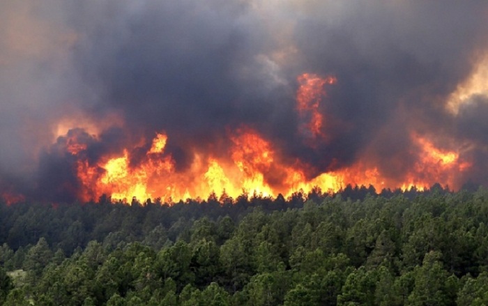 Wildfires kill three in Portugal`s Madeira