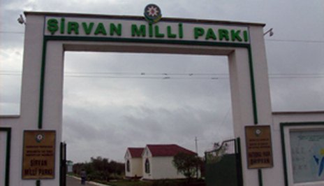 Şirvan Milli Parkında  yanğın 