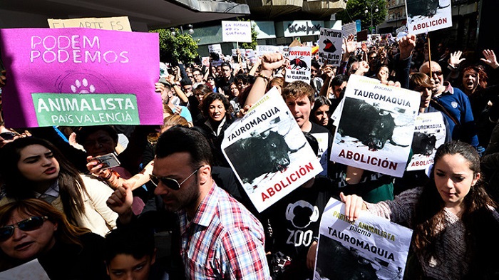 “Misión abolición“: preparan la mayor manifestación antitaurina de la historia de España