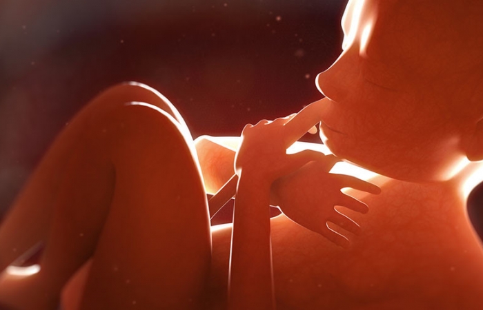 Gruesome discovery near Indian hospital prompts ‘abortion racket’ probe